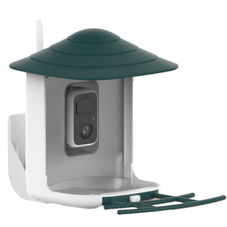 Kup zielony-bialy Karmnik dla ptaków z kamerą i rozpoznawaniem ptaków AI w ogrodzie
