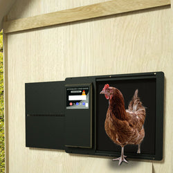 Automatyczny otwieracz do skórek kurczaka ze skórą kurczaka - Model luksusowy - Metal z akumulatorem, ogniwami słonecznymi i łatwym programowaniem